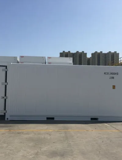 Container reefer domestico da 20 piedi